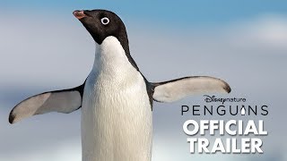 Thumbnail for Penguins