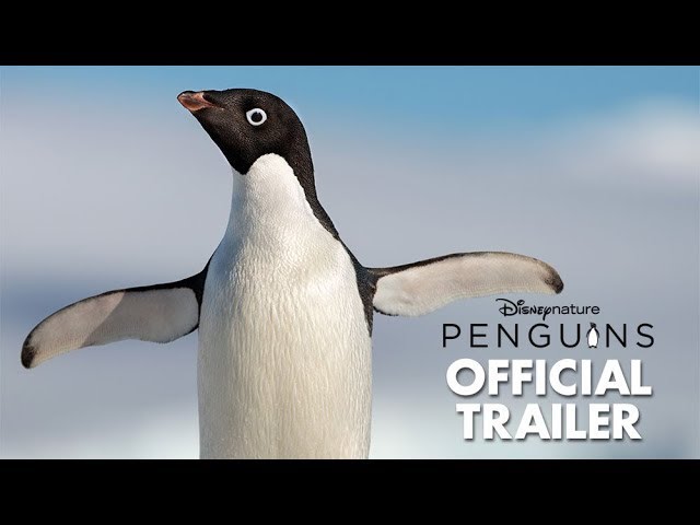 Featuring Penguins (2019) official trailer