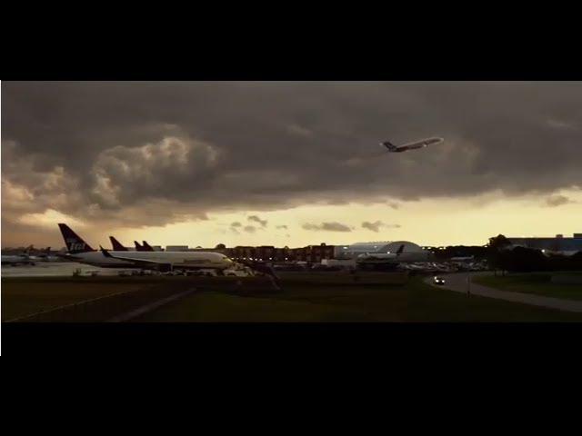 Featuring Flight (2012) theatrical trailer #1