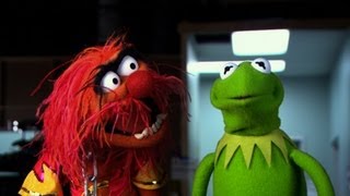 Thumbnail for Muppets Most Wanted