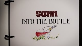 Thumbnail for SOMM: Into the Bottle