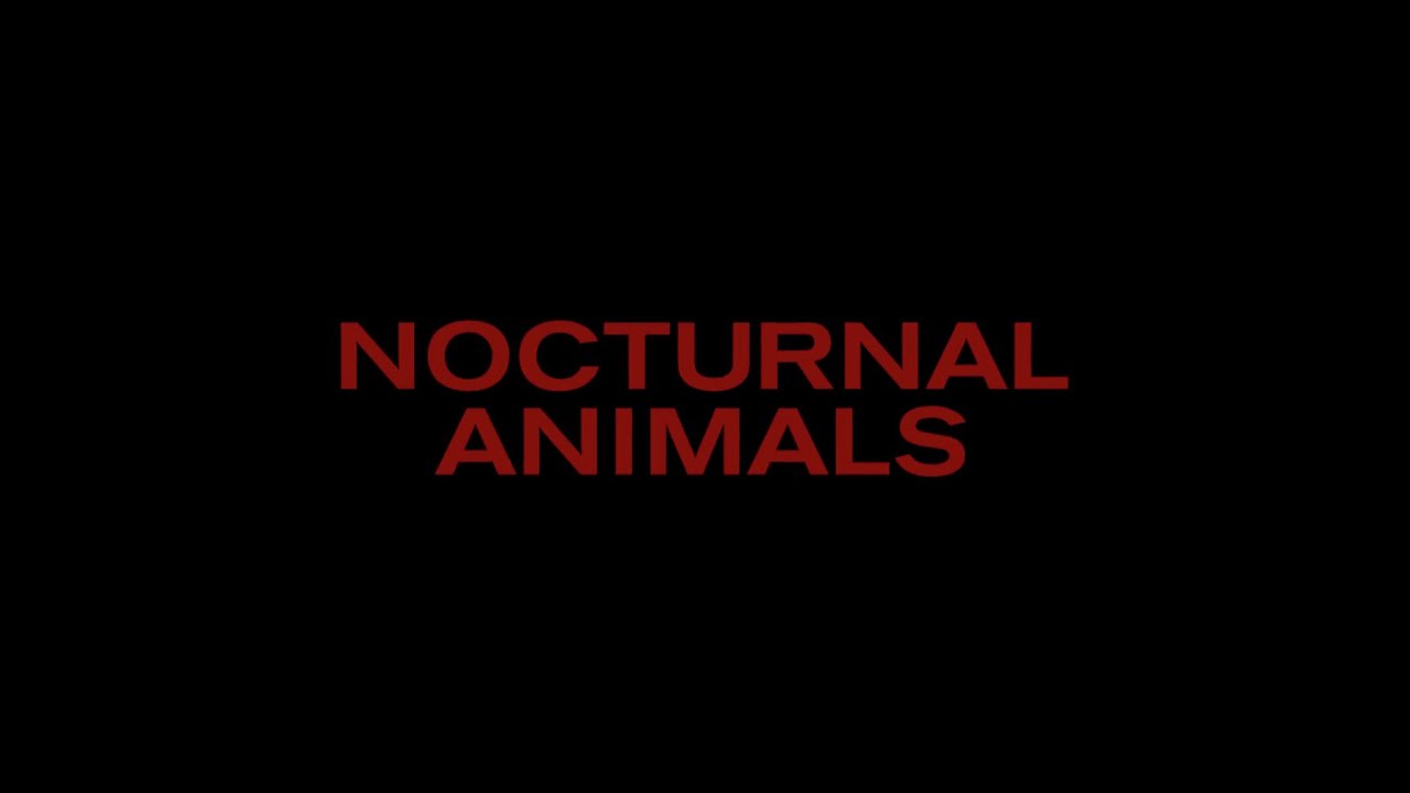 Nocturnal Animals Teaser Trailer Clip Image