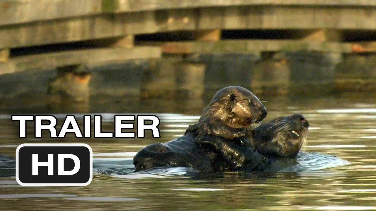 Otter 501 Theatrical Trailer Clip Image