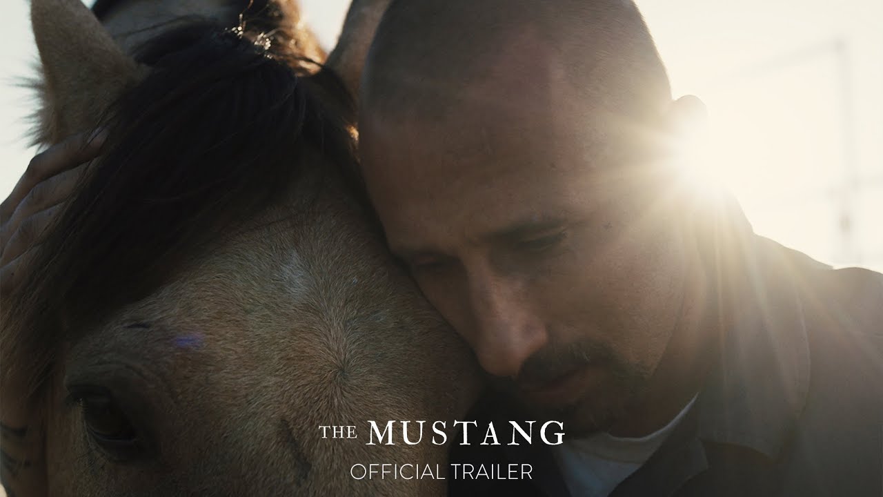 The Mustang Official Trailer Clip Image