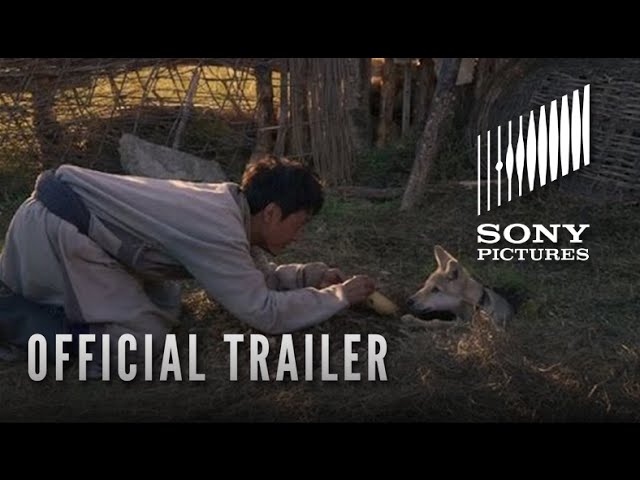 Featuring Wolf Totem (2015) theatrical trailer