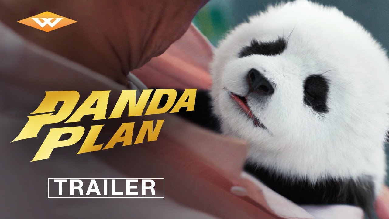 Panda Plan Official Trailer Clip Image