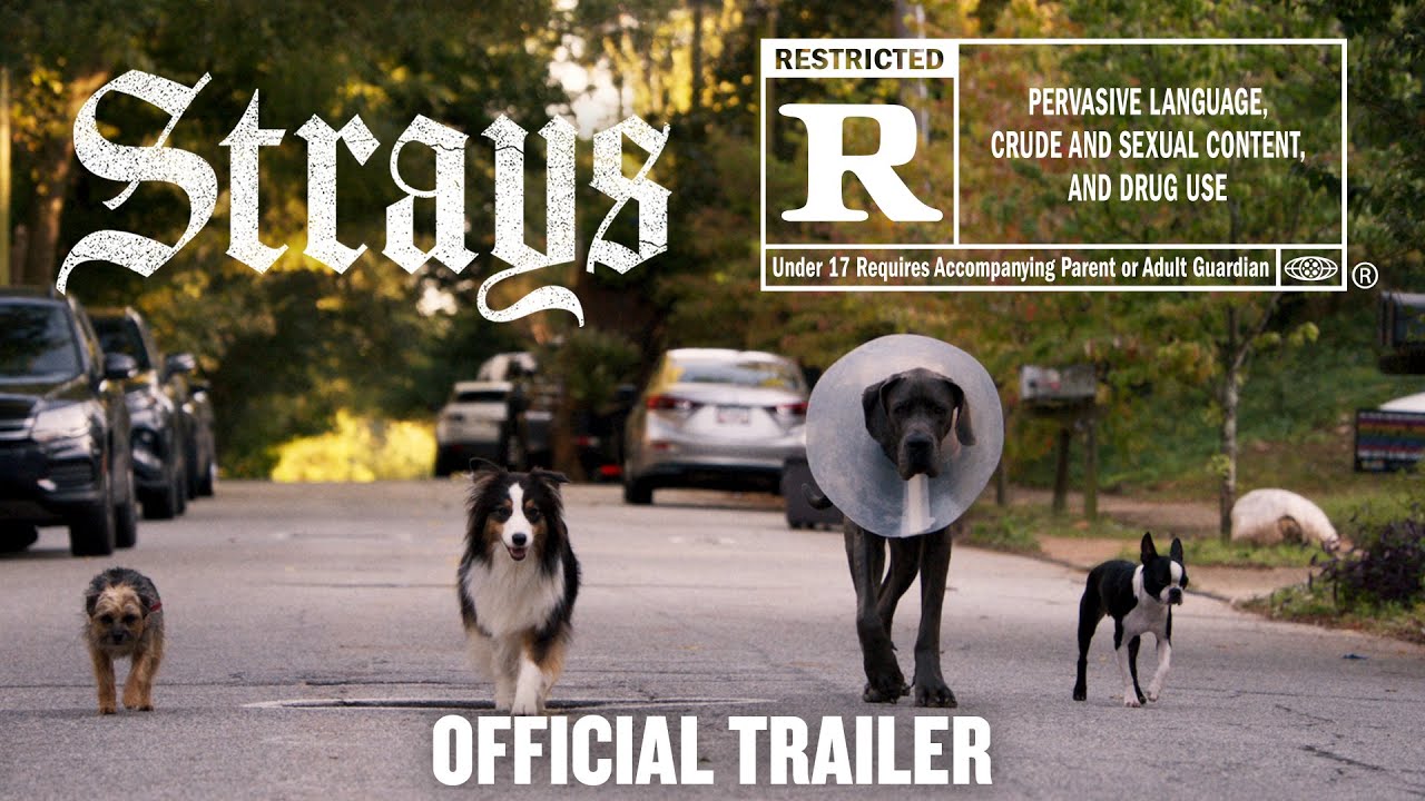 Strays Official Trailer Clip Image