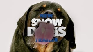 Thumbnail for Show Dogs