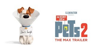 Thumbnail for The Secret Life of Pets 2