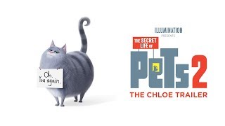 Thumbnail for The Secret Life of Pets 2