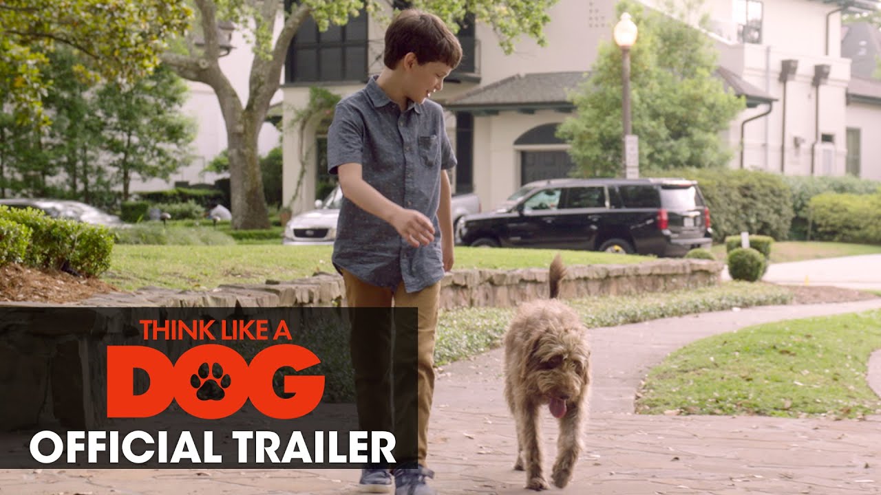 Think Like A Dog Official Trailer Clip Image