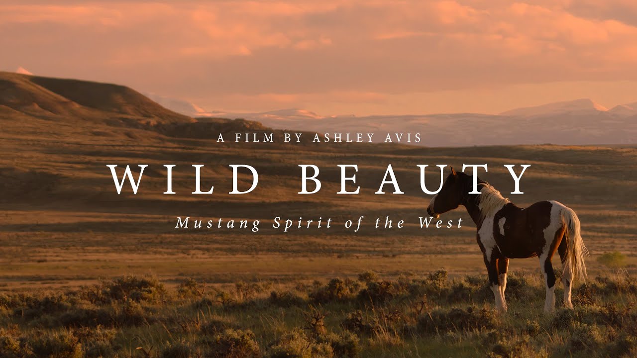 Featuring Wild Beauty: Mustang Spirit of the West (2023) official trailer