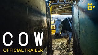 watch trailer