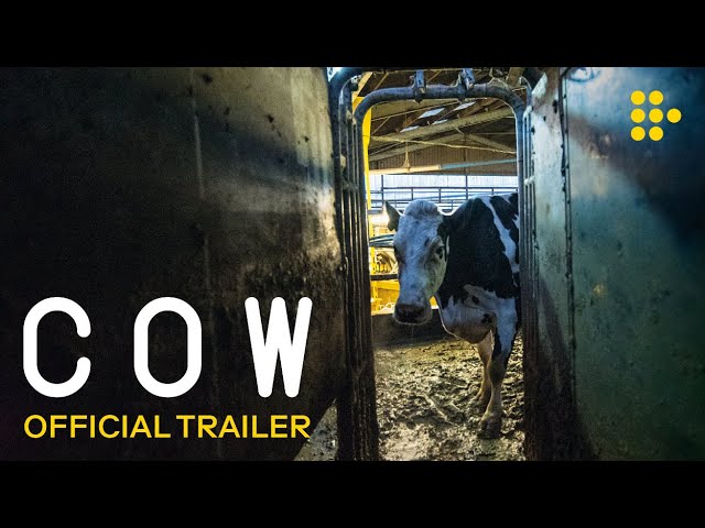 Featuring Cow (2022) official trailer