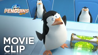 Thumbnail for The Penguins of Madagascar