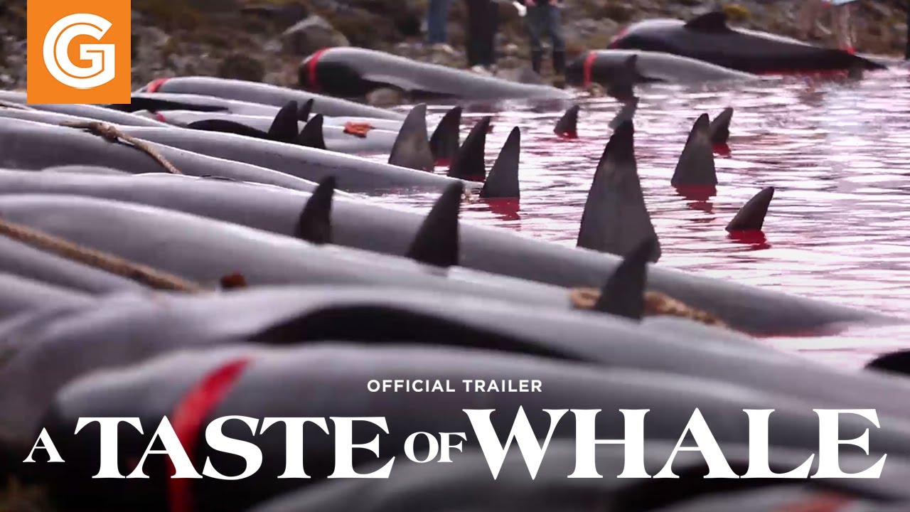 Featuring A Taste of Whale (2022) official trailer