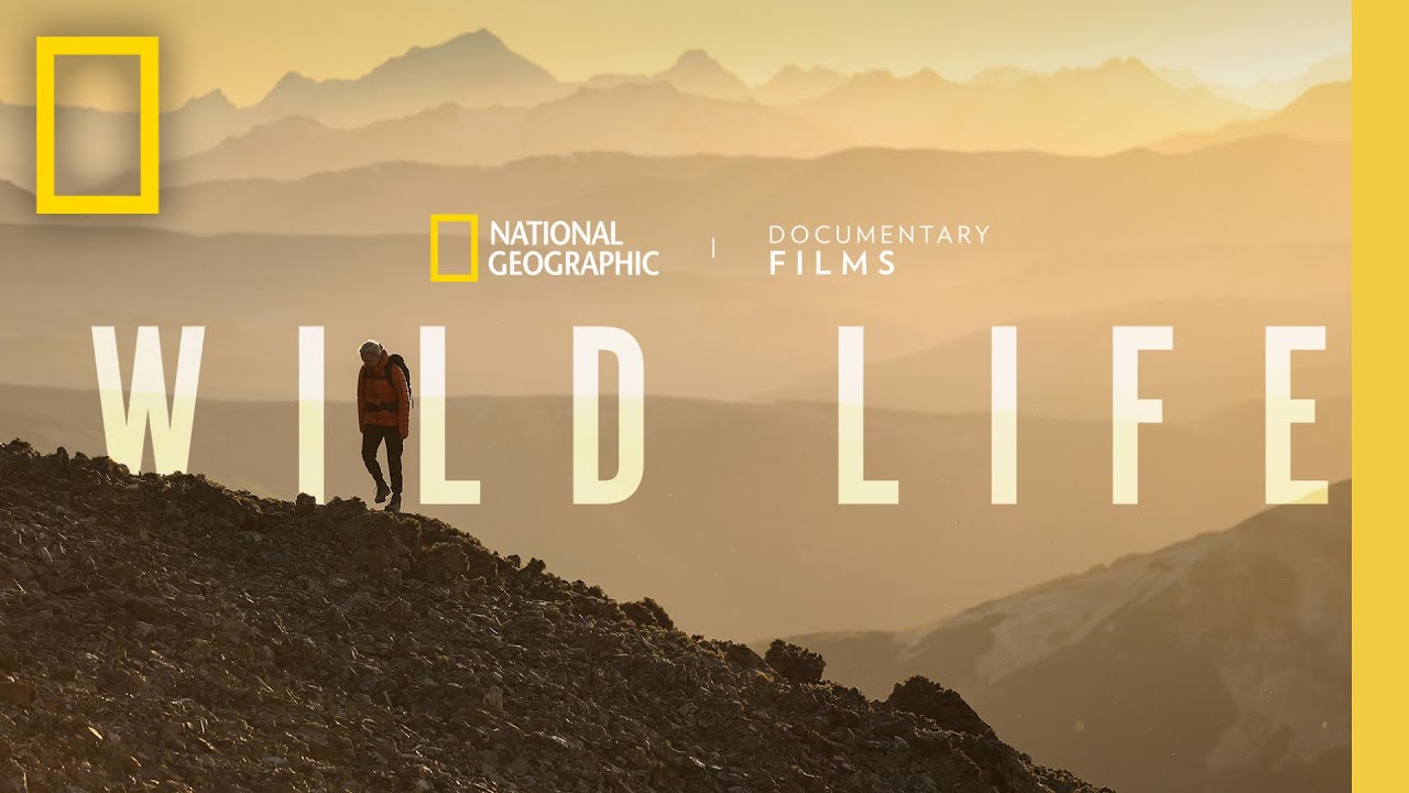 Wild Life Official Trailer Clip Image