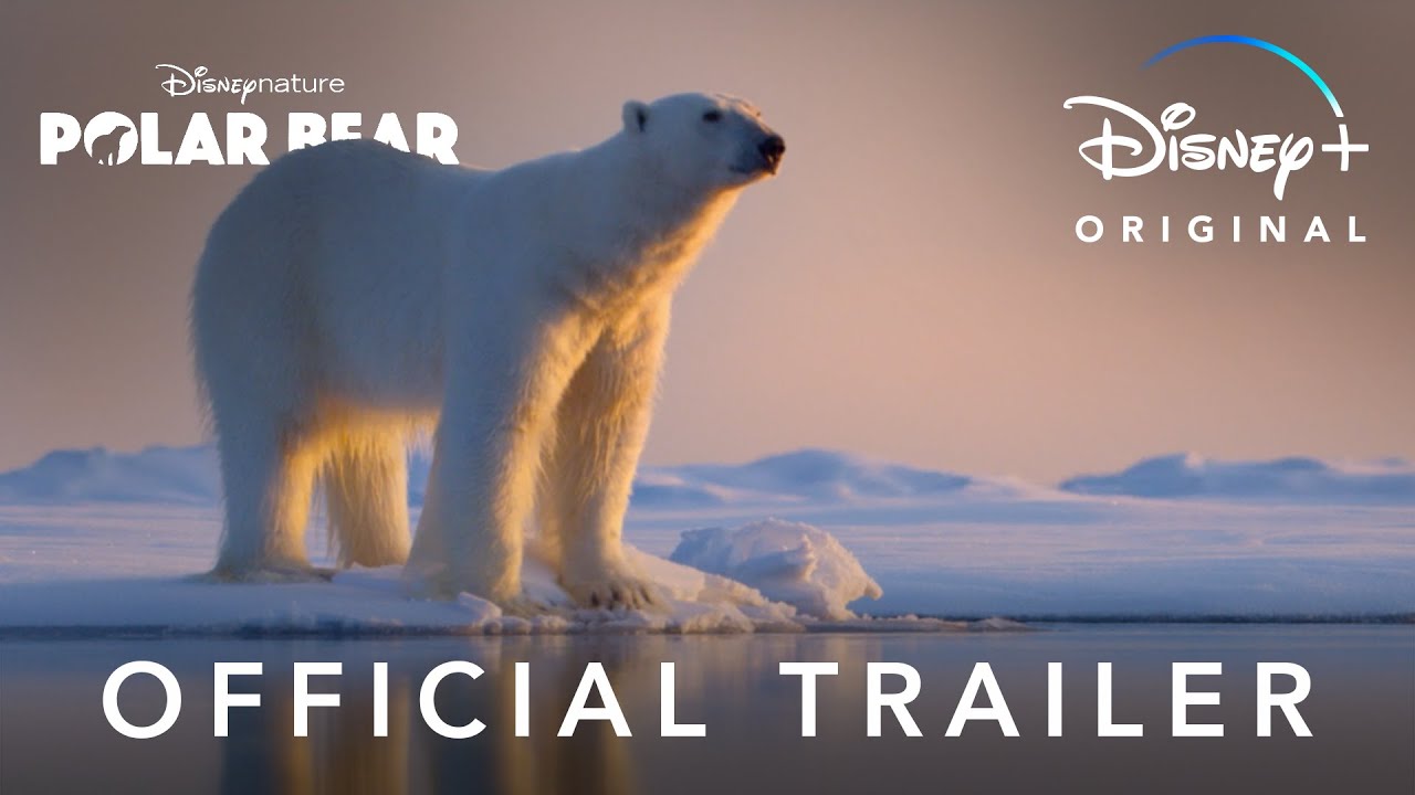 Featuring Polar Bear (2022) official trailer